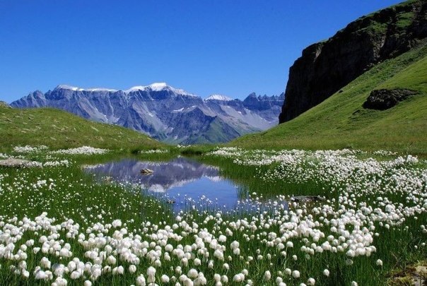 Прекрасные Швейцарские Альпы