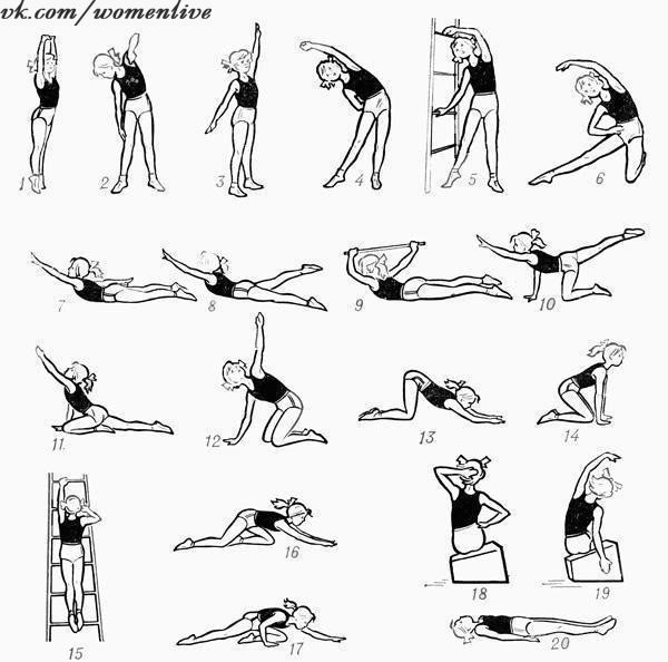 Упражнения для прямой и красивой спины