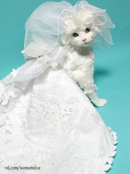 Счастливая невеста! :)