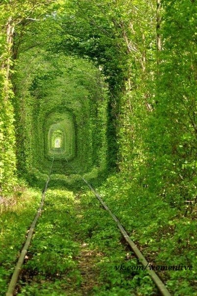 "Туннель Любви", Клевань, Украина