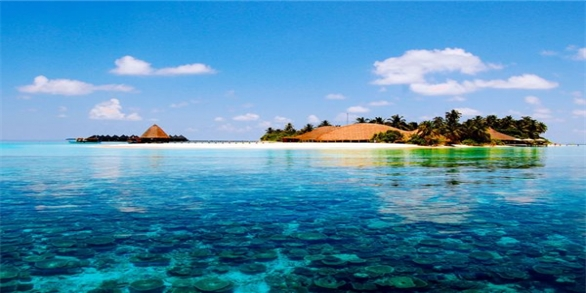 The Maldives.   самые красивые места планеты, только в группе  NH | Чудеса Света. Интересные места планеты    http://vkontakte.ru/club27894014