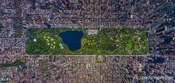 Вид сверху на Центральный парк Нью-Йорка