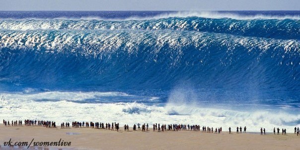 На Гавайах, такие громадные волны, прозваны как «гавайские челюсти».