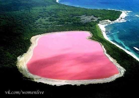 Необычное розовое озеро Хиллер, Австралия.