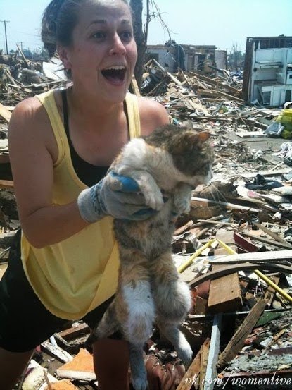Семья находит кота, потерявшегося 16 дней назад после торнадо в Джоплине, США