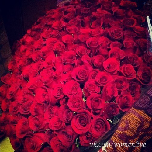 Красные розы - лучший способ признаться в любви без слов...