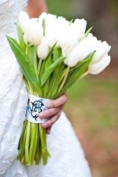 Тюльпан – цветок любви :)