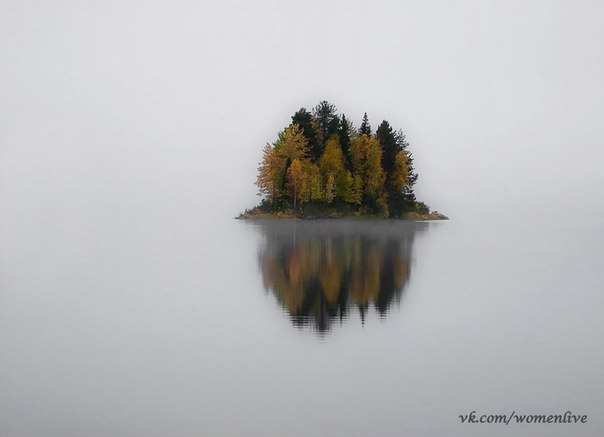 Остров на озере в Национальном парке Паанаярви, Карелия, Россия