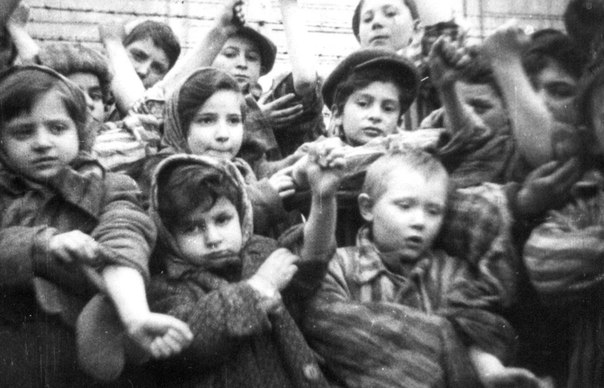 Рапорт акушерки из Освенцима