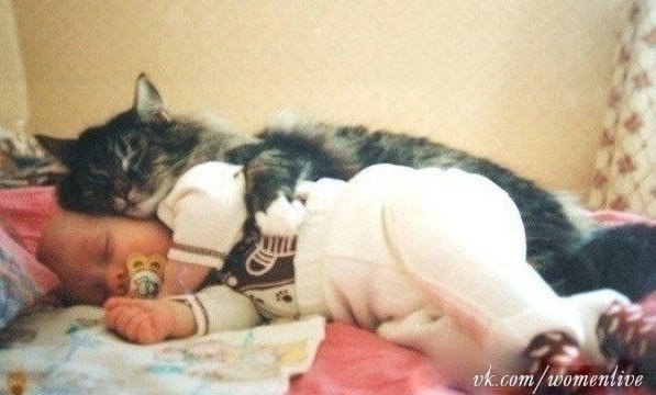 Просыпаешься утром, а тебя котик обнимает..