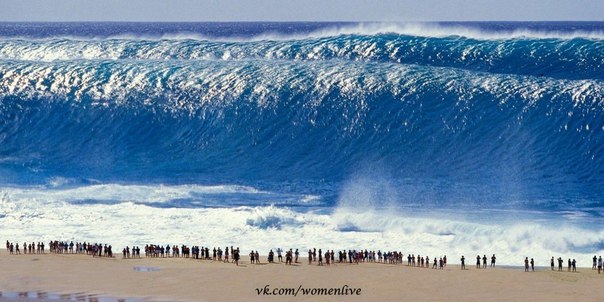 На Гавайах, такие громадные волны, прозваны как «гавайские челюсти».