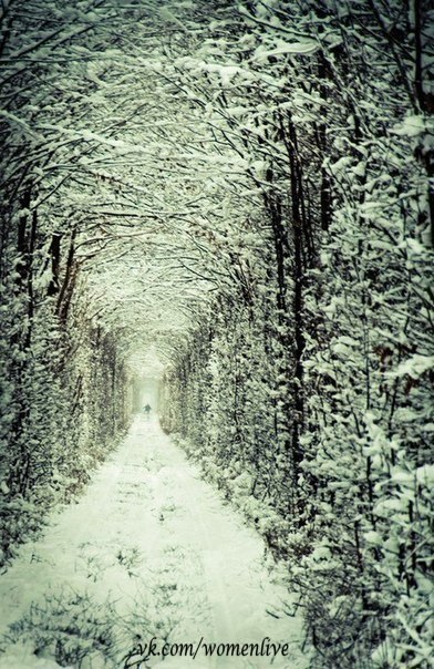 "Туннель Любви" зимой и летом