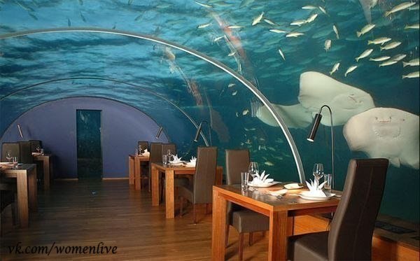 Ithaa Undersea restaurant (Мальдивы) находится на глубине 5 м. 14 мест за самыми простыми столиками, зато под акриловой крышей с панорамным обзором 270 градусов.