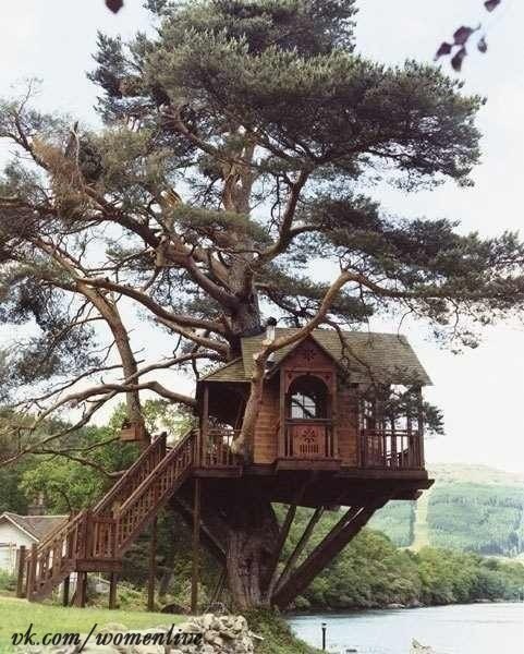 Хотели домик на дереве?)