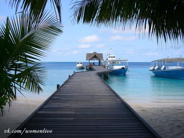 Мальдивы, остров Курамати.