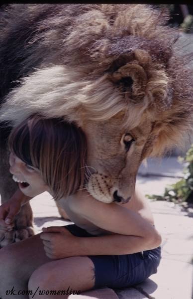 Мирное сосуществование: Типпи Хедрен и ее лев
