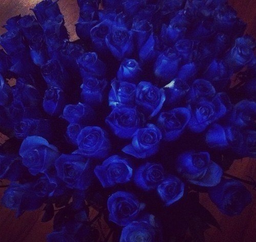 Синие розы,красота невероятная.