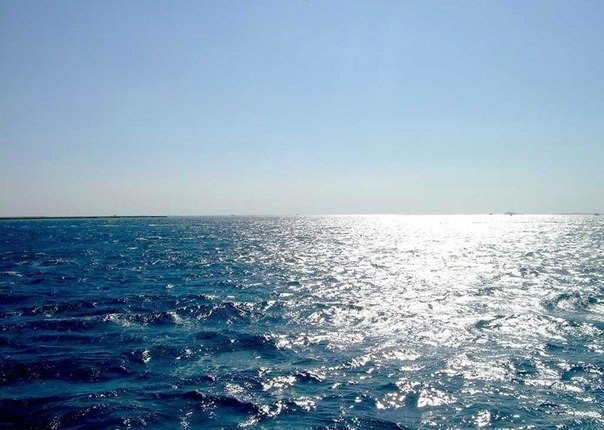 Море — оно лучше любого лекарства смывает тоску и разочарование.