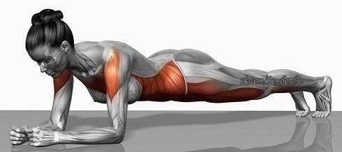 Упражнение "планка" очень эффективное упражнение для укрепления мышц пресс и всего тела