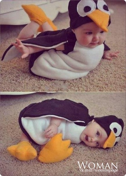 Пингвиненок :)