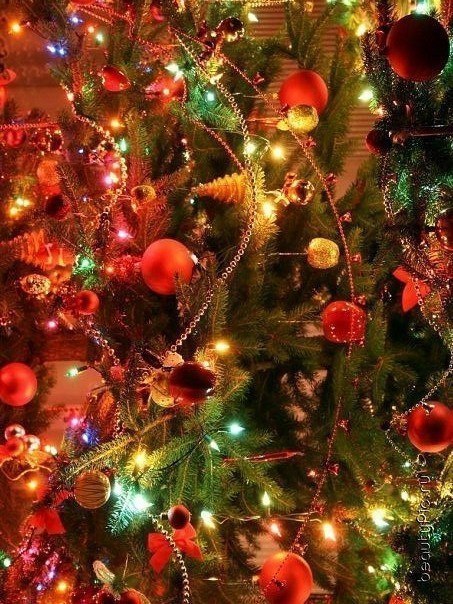 Скоро Новый год.А вы будете ставить и украшать елку дома?