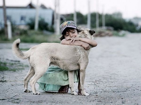 Если бы только люди могли любить как собаки, мир стал бы раем.