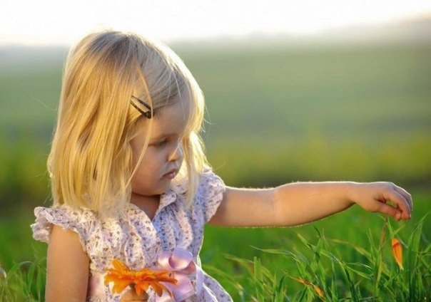 Одна маленькая девочка, когда ее спросили, что такое прощение, дала чудесный ответ: "Это аромат, который дарит цветок, когда его топчут"...