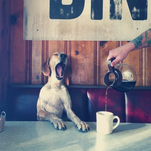 утро без кофе пережить невозможно.