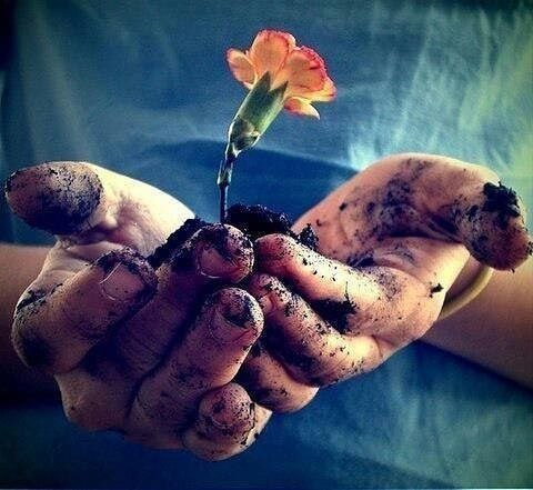 ​Один маленький мальчик, когда его спросили, что такое прощение, дал чудесный ответ: "Это аромат, который дарит цветок, когда его топчут..."