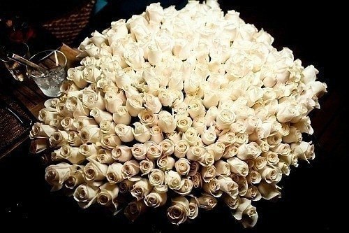 Белые розы <3