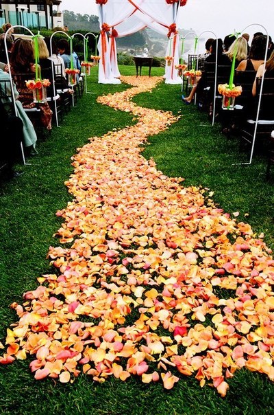 Свадебные ковры из цветов
