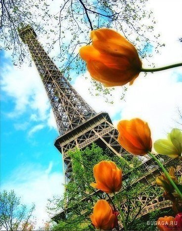 Paris, je t'aime