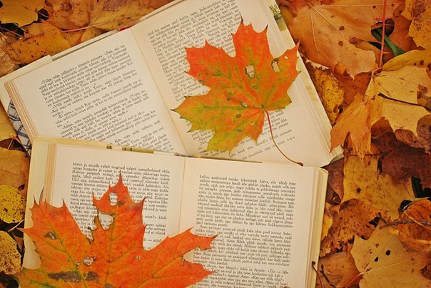 Книги, которые ассоциируются с осенью...