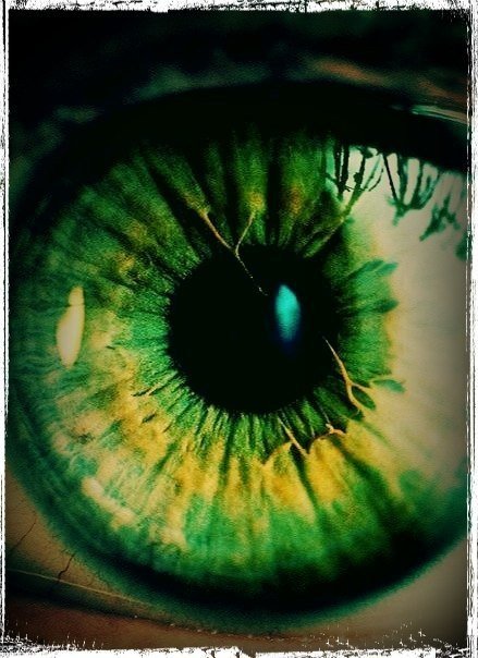 Самый редкий цвет глаз – зеленый. Всего 2% населения Земли имеют зеленые глаза.