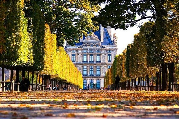 Осень в Париже. Сад Тюильри