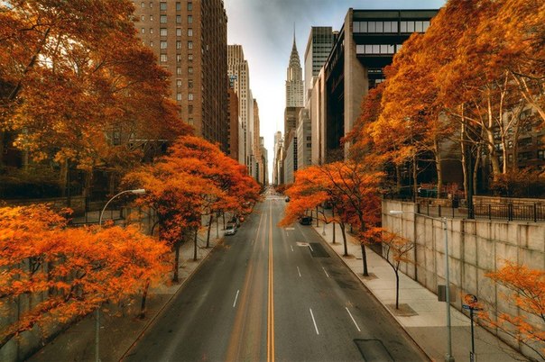 Осень в Нью-Йорке